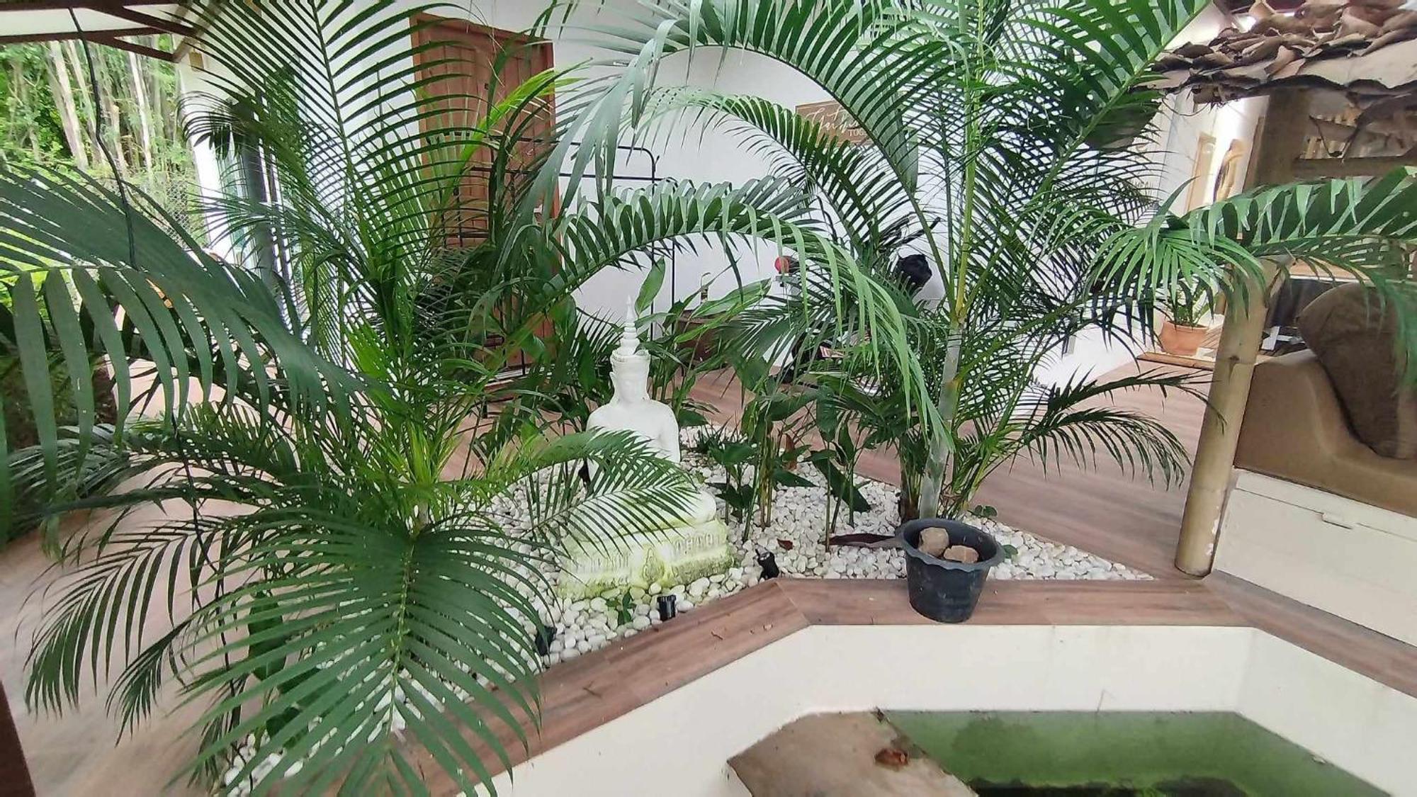 La De Madame Su Ở trọ